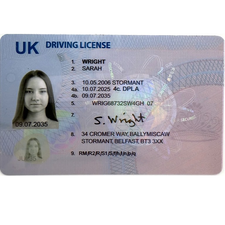 drivers license NI front view 2025
