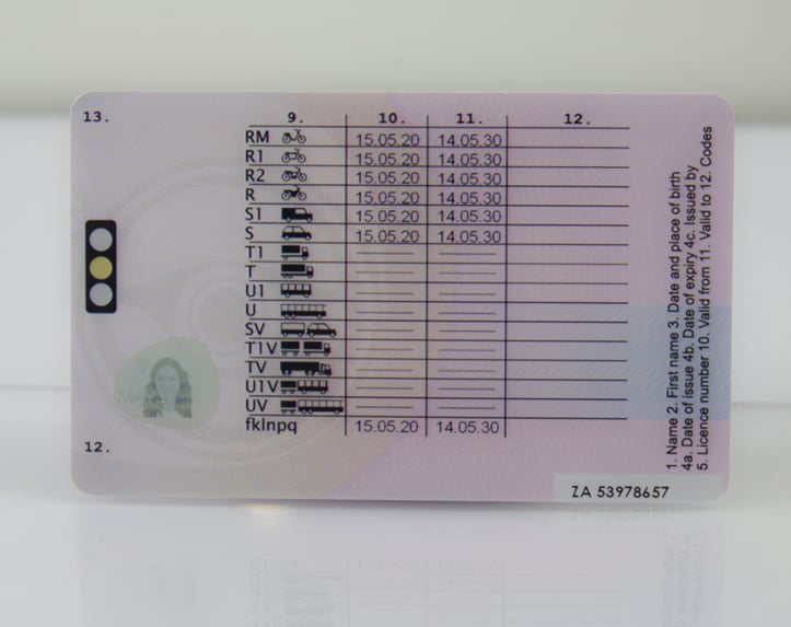 drivers license NI back view