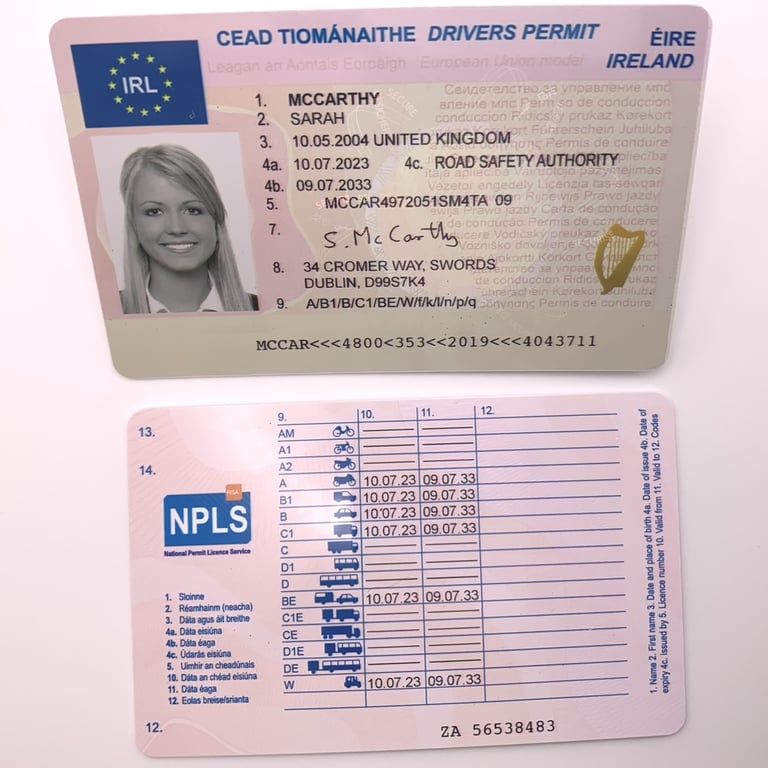 irish driving permit front and back