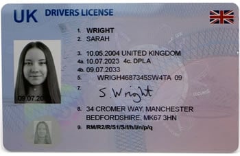 fake driving licence