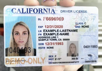 usa fake id example