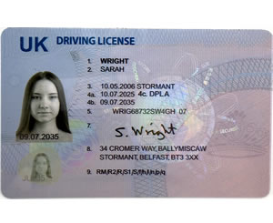 Drivers License (NI)