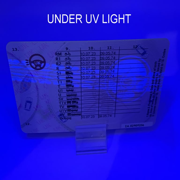 drivers license back uv light