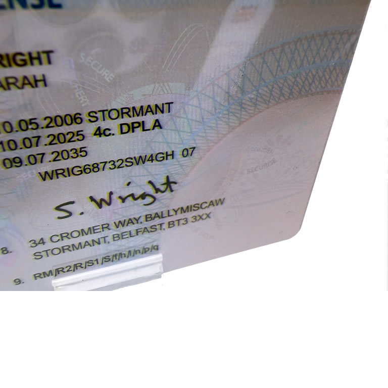 drivers license back corner 2023