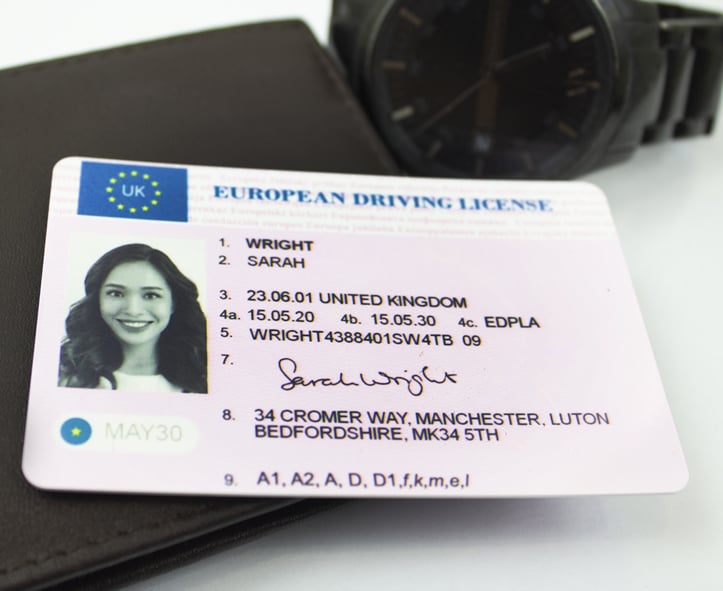 euro drivers license back view