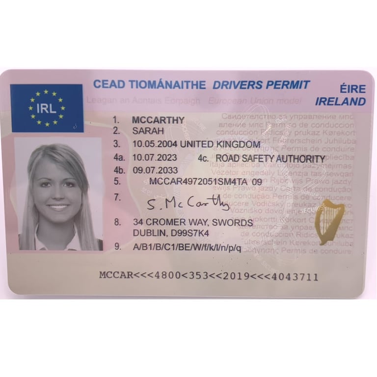 Irish drivng permit front