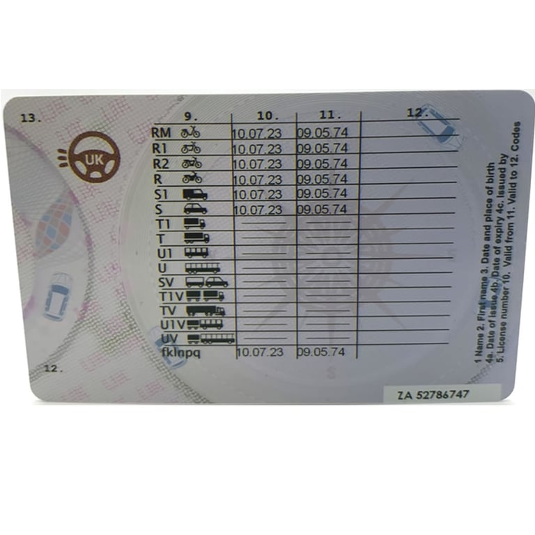 driving licence reverse