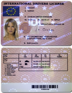 fake irish driving license