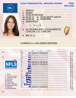 Irish drivers license for americans free